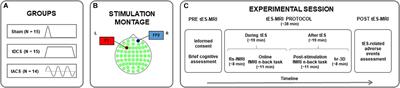 Differential tDCS and tACS Effects on Working Memory-Related Neural Activity and Resting-State Connectivity